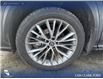 2023 Lexus NX 350 Base (Stk: P6895) in Olds - Image 6 of 25