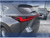 2023 Lexus NX 350 Base (Stk: P6895) in Olds - Image 11 of 25
