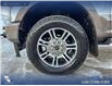 2020 Ford F-350 King Ranch (Stk: P1515) in Canmore - Image 6 of 27