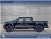 2023 Ford F-150 XL (Stk: P6862) in Olds - Image 3 of 23