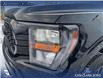 2023 Ford F-150 XL (Stk: P6862) in Olds - Image 8 of 23