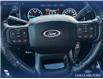 2023 Ford F-150 XL (Stk: P6862) in Olds - Image 14 of 23