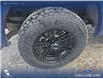 2017 Ford F-150 Lariat (Stk: P6905) in Olds - Image 6 of 24