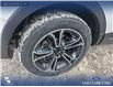 2014 Ford Explorer Sport (Stk: P6920) in Olds - Image 6 of 24