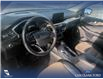 2021 Ford Escape Titanium Hybrid (Stk: U37944) in Red Deer - Image 6 of 7