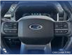 2022 Ford F-150 Lariat (Stk: P6928) in Olds - Image 13 of 22
