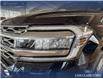 2024 Ford Expedition Platinum (Stk: RC19918) in Airdrie - Image 8 of 25