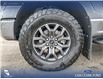 2023 Ford F-150 Tremor (Stk: U37930) in Red Deer - Image 6 of 25