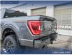 2023 Ford F-150 Tremor (Stk: U37930) in Red Deer - Image 11 of 25