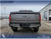 2023 Ford F-150 Tremor (Stk: U37930) in Red Deer - Image 12 of 25