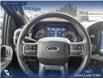 2023 Ford F-150 Tremor (Stk: U37930) in Red Deer - Image 14 of 25