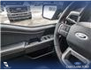 2023 Ford F-150 Tremor (Stk: U37930) in Red Deer - Image 17 of 25
