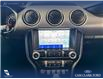 2020 Ford Mustang EcoBoost (Stk: P14825) in Airdrie - Image 19 of 25