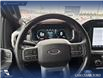 2021 Ford F-150 Lariat (Stk: P6926) in Olds - Image 13 of 23