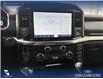 2021 Ford F-150 Lariat (Stk: P6926) in Olds - Image 17 of 23