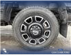 2023 Ford F-350 Platinum (Stk: P6918) in Olds - Image 6 of 25