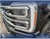 2023 Ford F-350 Platinum (Stk: P6918) in Olds - Image 8 of 25