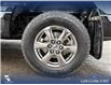 2020 Ford F-150 XLT (Stk: P6815) in Olds - Image 6 of 25