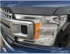 2020 Ford F-150 XLT (Stk: P6815) in Olds - Image 9 of 25