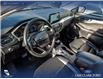 2022 Ford Escape SEL (Stk: U37943) in Red Deer - Image 13 of 24