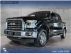 2017 Ford F-150 XLT (Stk: P14834) in Airdrie - Image 1 of 25