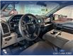 2017 Ford F-150 XLT (Stk: P14834) in Airdrie - Image 13 of 25