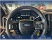 2017 Ford F-150 XLT (Stk: P14834) in Airdrie - Image 14 of 25