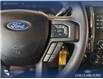2017 Ford F-150 XLT (Stk: P14834) in Airdrie - Image 16 of 25