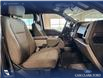 2017 Ford F-150 XLT (Stk: P14834) in Airdrie - Image 22 of 25