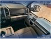 2017 Ford F-150 XLT (Stk: P14834) in Airdrie - Image 25 of 25
