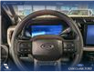 2024 Ford F-250 XLT (Stk: P14751) in Airdrie - Image 14 of 25