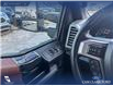 2021 Ford F-350 Platinum (Stk: P6906) in Olds - Image 16 of 24