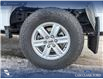 2023 Ford F-150 XLT (Stk: P6967) in Olds - Image 6 of 24