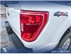 2023 Ford F-150 XLT (Stk: P6967) in Olds - Image 10 of 24
