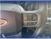 2023 Ford F-150 XLT (Stk: P1597) in Canmore - Image 16 of 25