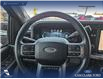 2023 Ford F-350 Limited (Stk: P6933) in Olds - Image 13 of 24
