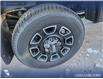 2023 Ford F-350 Platinum (Stk: P6884) in Olds - Image 6 of 24