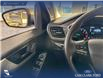 2022 Ford Escape SE (Stk: P14699) in Airdrie - Image 17 of 25