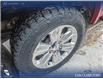 2019 Ford F-150 Lariat (Stk: P6955) in Olds - Image 6 of 24