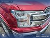 2019 Ford F-150 Lariat (Stk: P6955) in Olds - Image 8 of 24