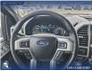 2019 Ford F-150 Lariat (Stk: P6955) in Olds - Image 13 of 24