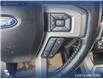 2019 Ford F-150 Lariat (Stk: P6955) in Olds - Image 15 of 24
