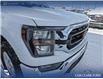 2023 Ford F-150 XLT (Stk: P6937) in Olds - Image 8 of 24
