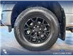 2024 Ford F-150 XLT (Stk: P14897) in Airdrie - Image 6 of 25