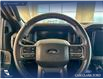 2024 Ford F-150 XLT (Stk: P14897) in Airdrie - Image 14 of 25