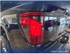 2025 Ford F-150 Tremor (Stk: P14906) in Airdrie - Image 11 of 25