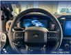 2025 Ford F-150 Tremor (Stk: P14906) in Airdrie - Image 14 of 25