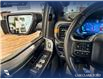 2025 Ford F-150 Tremor (Stk: P14906) in Airdrie - Image 17 of 25