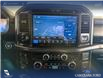 2025 Ford F-150 Tremor (Stk: P14906) in Airdrie - Image 19 of 25