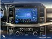 2025 Ford F-150 King Ranch (Stk: P14916) in Airdrie - Image 19 of 25